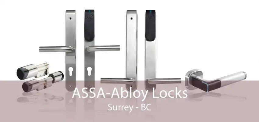 ASSA-Abloy Locks Surrey - BC