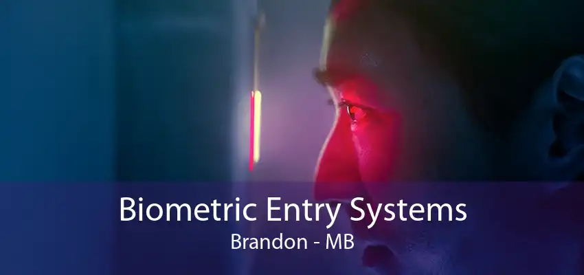 Biometric Entry Systems Brandon - MB