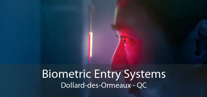 Biometric Entry Systems Dollard-des-Ormeaux - QC