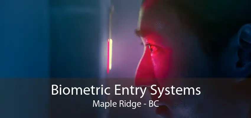 Biometric Entry Systems Maple Ridge - BC