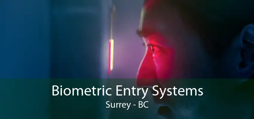 Biometric Entry Systems Surrey - BC