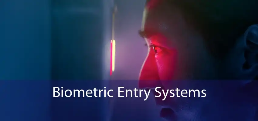 Biometric Entry Systems 