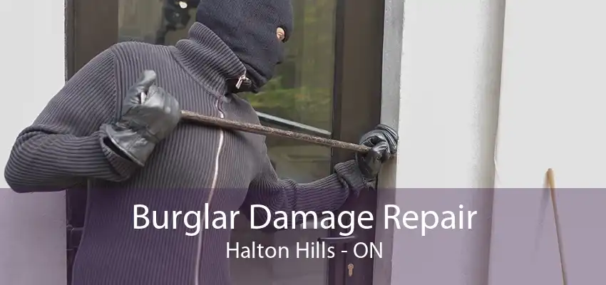 Burglar Damage Repair Halton Hills - ON