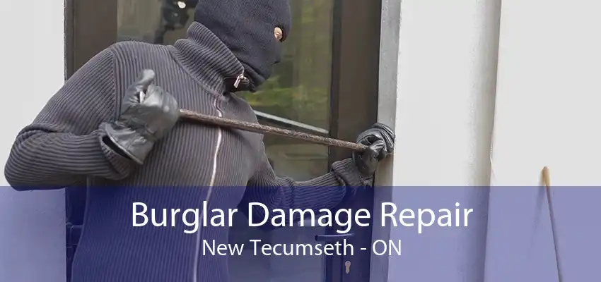 Burglar Damage Repair New Tecumseth - ON