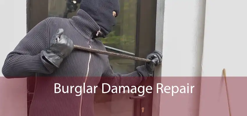 Burglar Damage Repair 