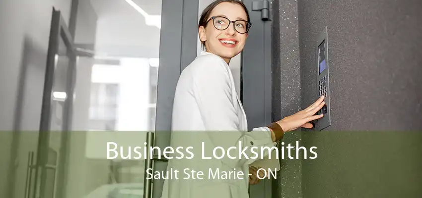 Business Locksmiths Sault Ste Marie - ON