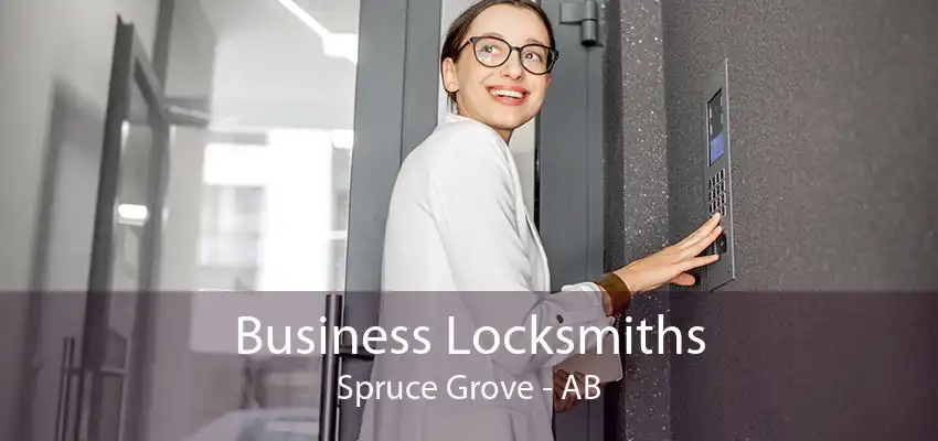 Business Locksmiths Spruce Grove - AB