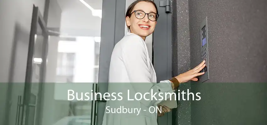 Business Locksmiths Sudbury - ON