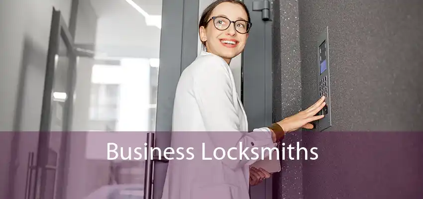 Business Locksmiths 