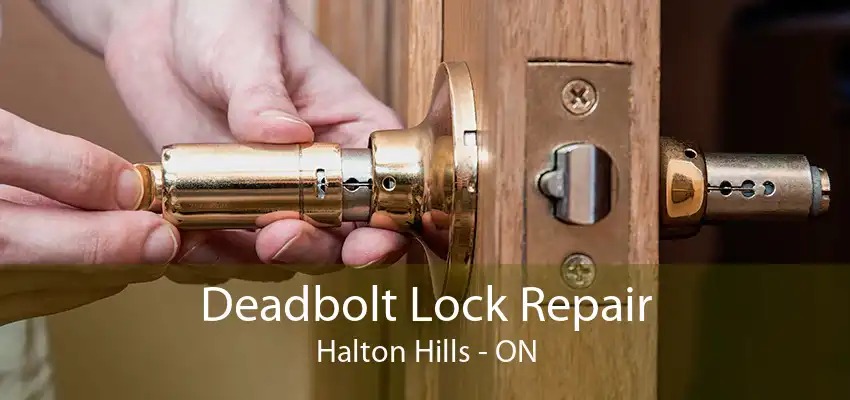 Deadbolt Lock Repair Halton Hills - ON