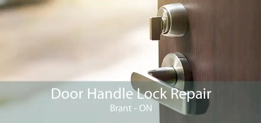 Door Handle Lock Repair Brant - ON