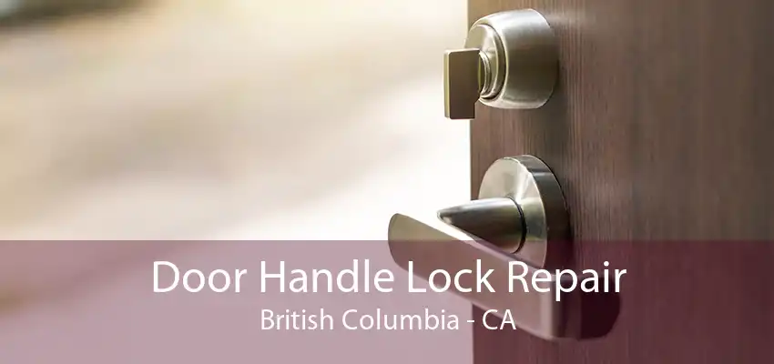 Door Handle Lock Repair British Columbia - CA