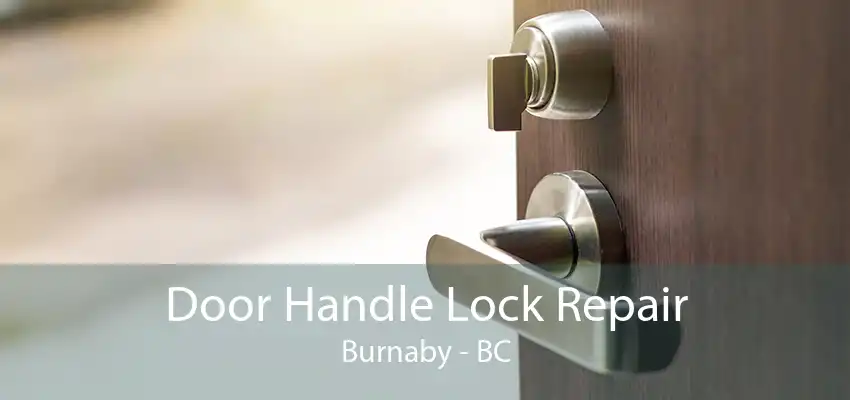 Door Handle Lock Repair Burnaby - BC