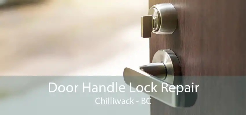 Door Handle Lock Repair Chilliwack - BC