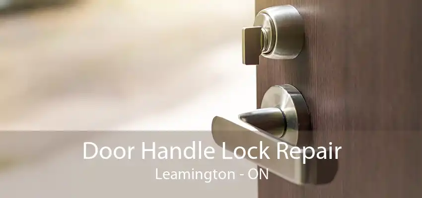 Door Handle Lock Repair Leamington - ON