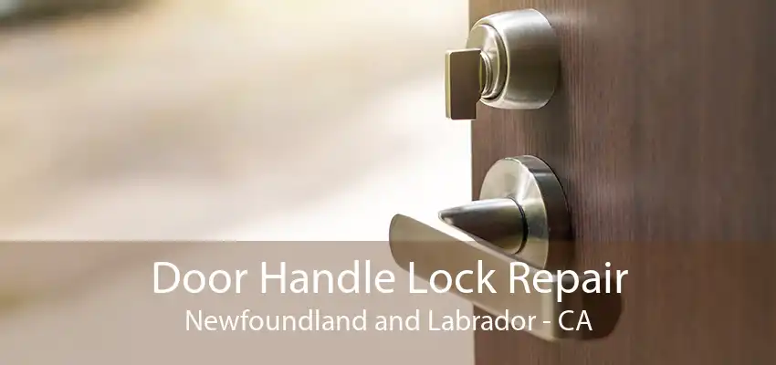 Door Handle Lock Repair Newfoundland and Labrador - CA