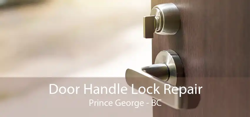 Door Handle Lock Repair Prince George - BC