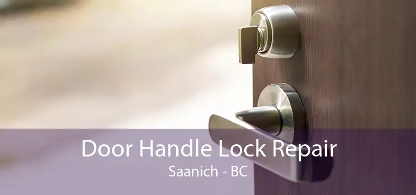 Door Handle Lock Repair Saanich - BC