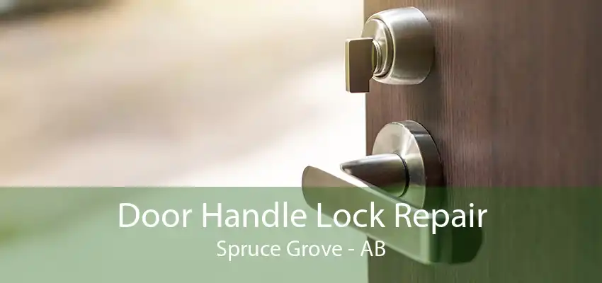 Door Handle Lock Repair Spruce Grove - AB