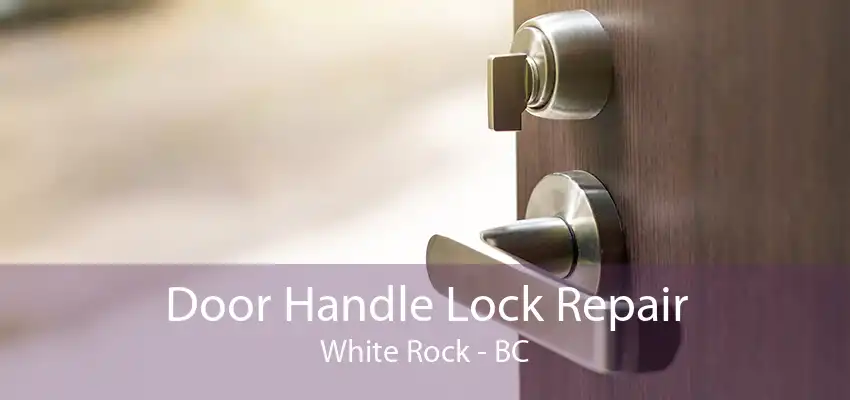 Door Handle Lock Repair White Rock - BC