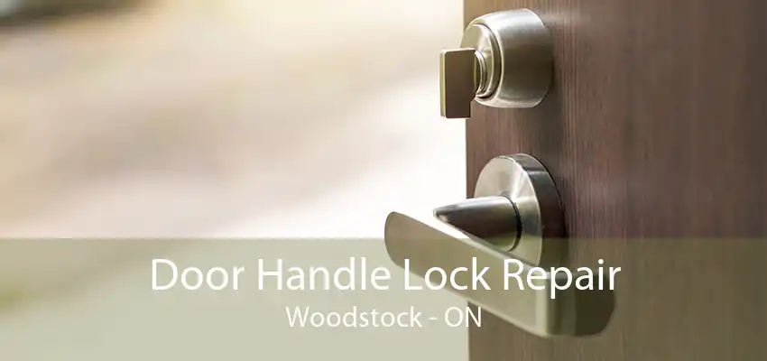 Door Handle Lock Repair Woodstock - ON