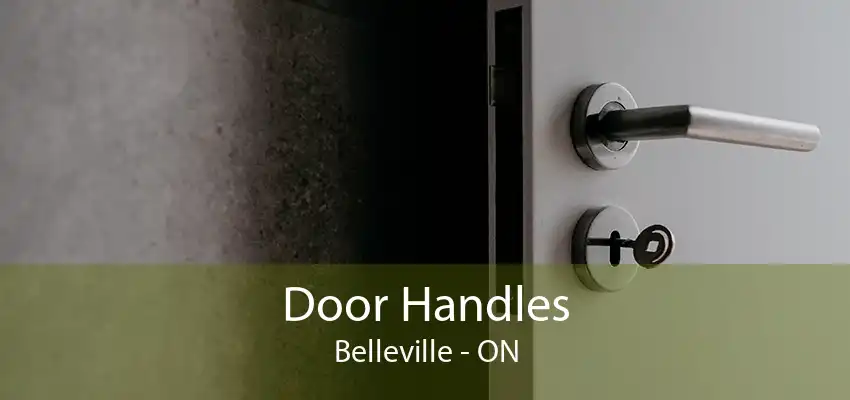 Door Handles Belleville - ON