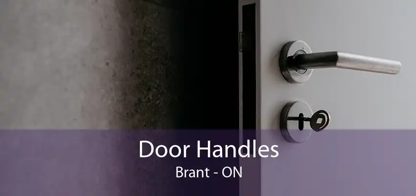 Door Handles Brant - ON