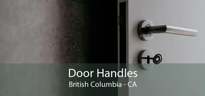 Door Handles British Columbia - CA