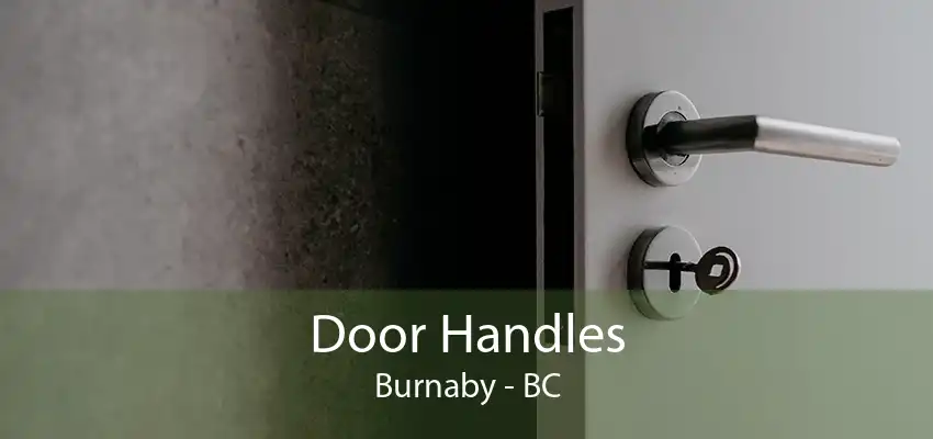 Door Handles Burnaby - BC