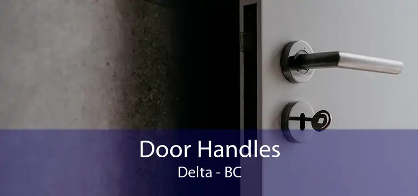 Door Handles Delta - BC