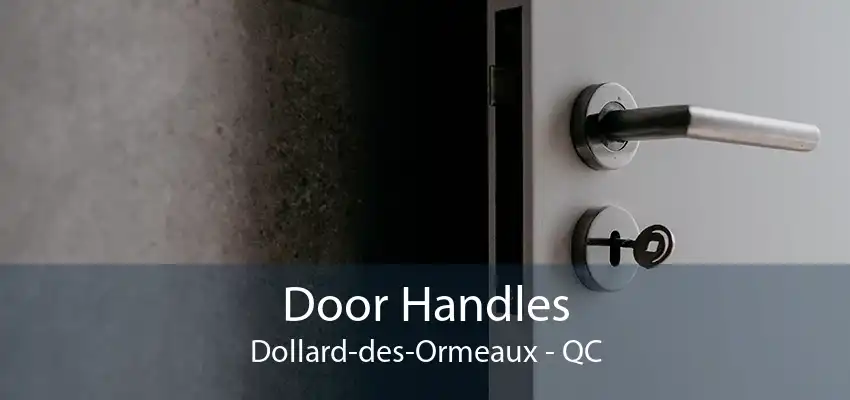 Door Handles Dollard-des-Ormeaux - QC