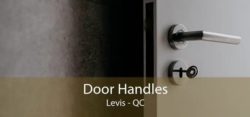 Door Handles Levis - QC