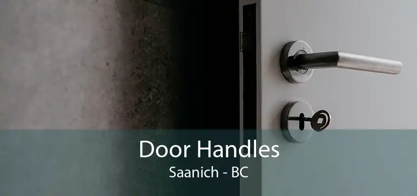 Door Handles Saanich - BC