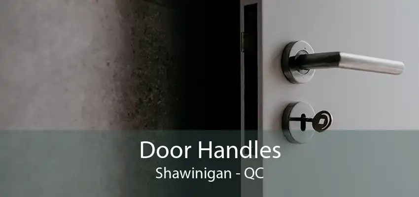 Door Handles Shawinigan - QC