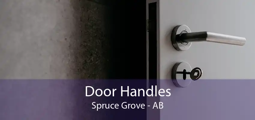 Door Handles Spruce Grove - AB