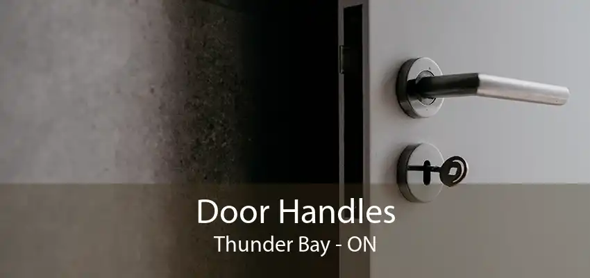 Door Handles Thunder Bay - ON