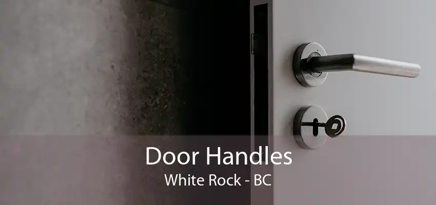 Door Handles White Rock - BC