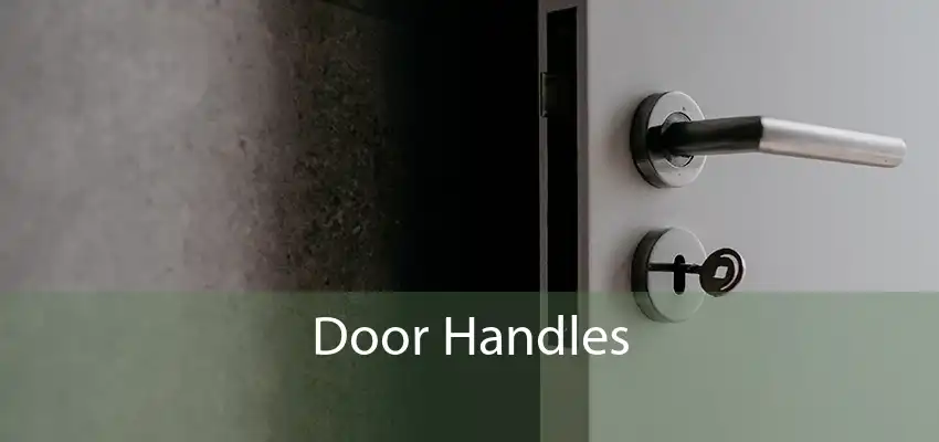 Door Handles 