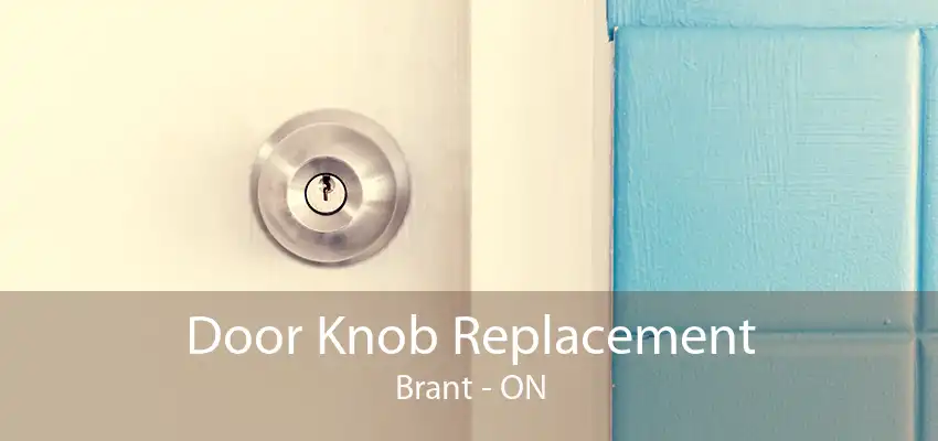 Door Knob Replacement Brant - ON