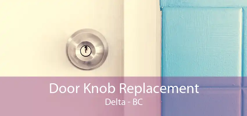 Door Knob Replacement Delta - BC