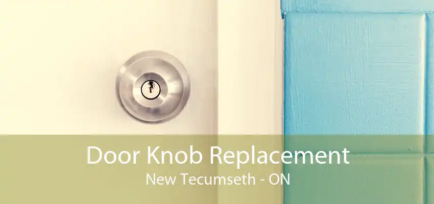 Door Knob Replacement New Tecumseth - ON