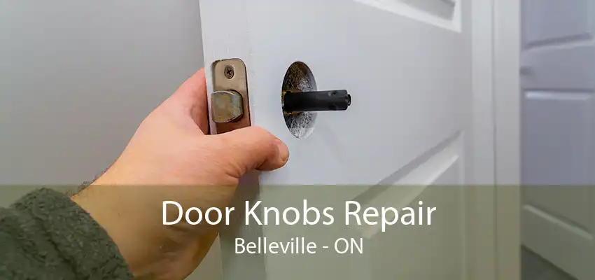 Door Knobs Repair Belleville - ON