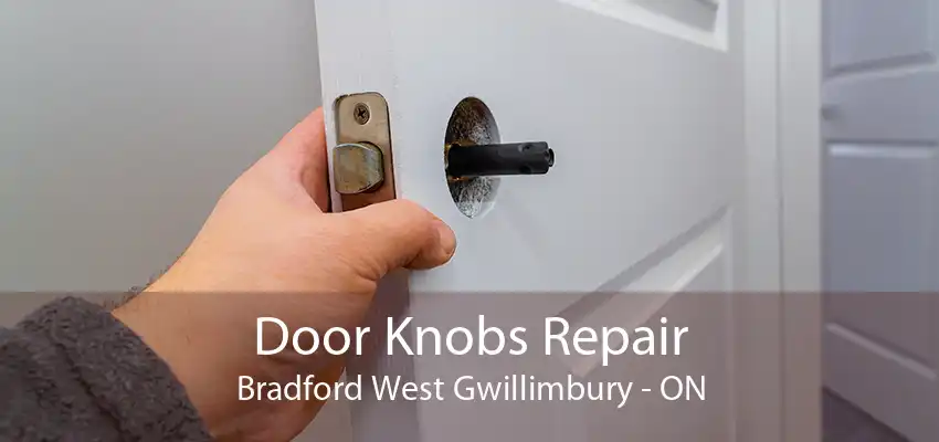 Door Knobs Repair Bradford West Gwillimbury - ON