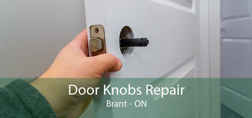 Door Knobs Repair Brant - ON