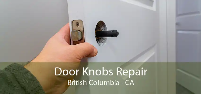 Door Knobs Repair British Columbia - CA