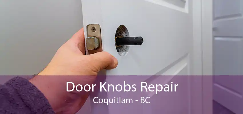 Door Knobs Repair Coquitlam - BC