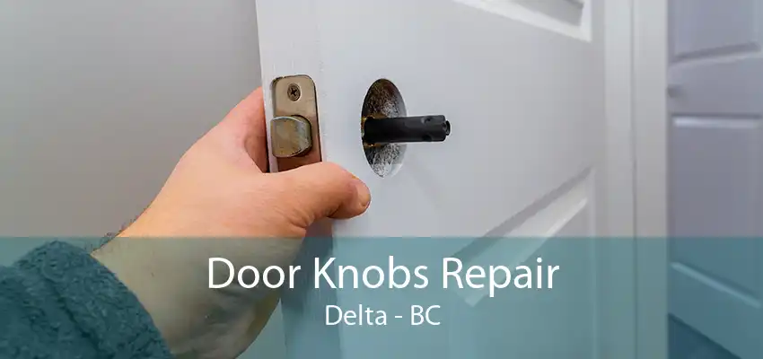 Door Knobs Repair Delta - BC