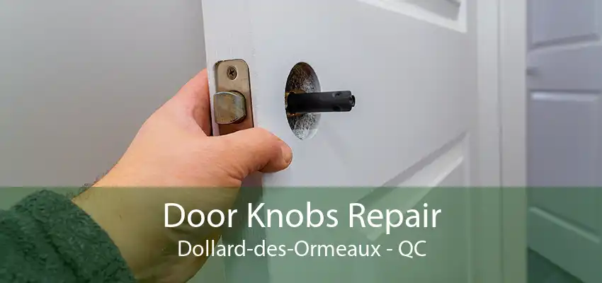 Door Knobs Repair Dollard-des-Ormeaux - QC