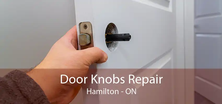 Door Knobs Repair Hamilton - ON