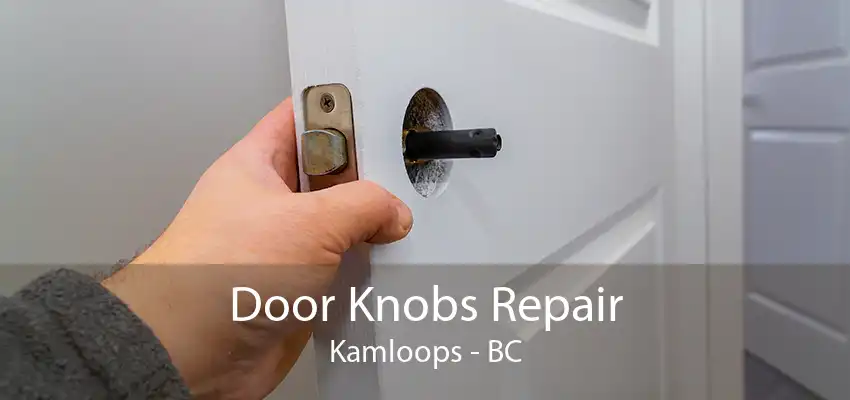 Door Knobs Repair Kamloops - BC